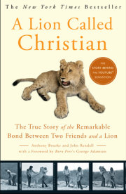 A Lion Called Christian