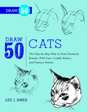 Draw 50 Cats 