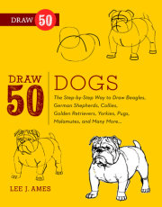 Draw 50 Dogs 
