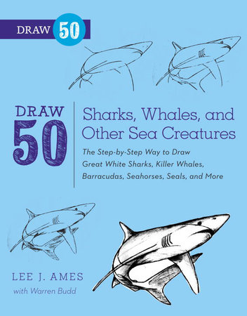 Draw 50 Sharks, Whales, and Other Sea Creatures