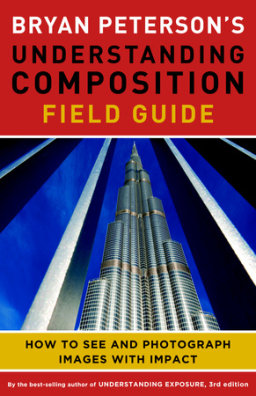 Bryan Peterson's Understanding Composition Field Guide