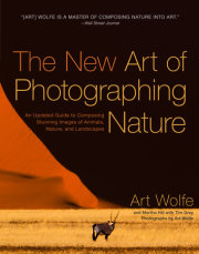 Nature photographers of all skill levels will love world-renowned photographer Art Wolfe’s updated classic