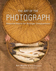 The Art of the Photograph 