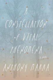 A striking debut about love, loss, and the unexpected ties that bind us together