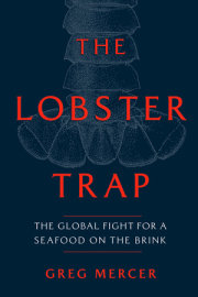 The Lobster Trap 