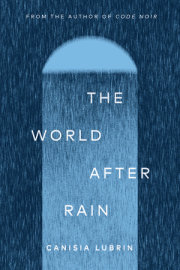 The World After Rain 