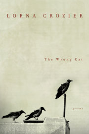 The Wrong Cat 