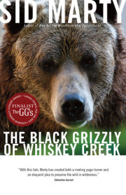 The Black Grizzly of Whiskey Creek 