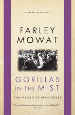 Gorillas in the Mist