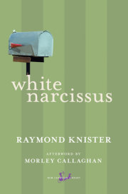 White Narcissus 