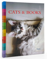 Cats & Books 