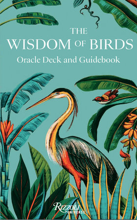 Wisdom of the Birds: Oracle Deck and Guidebook
