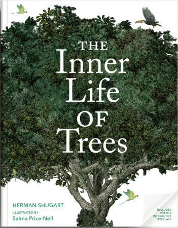 The Inner Life of Trees