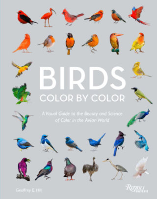 Birds Color by Color - Author Geoffrey E. Hill