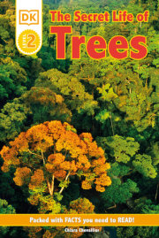 DK Readers L2: The Secret Life of Trees