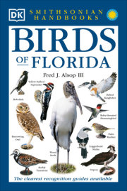 Birds of Florida 