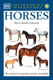 Horses 