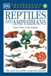 Reptiles & Amphibians 