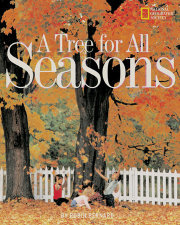 A Tree for All Seasons 