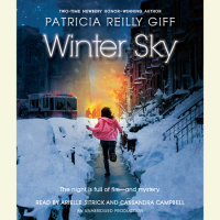 Cover of Winter Sky cover