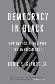 Democracy in Black 