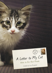 A LETTER TO MY CAT