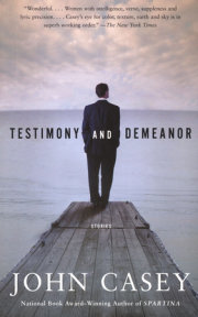 Testimony and Demeanor