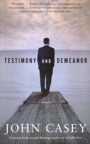 Testimony and Demeanor 