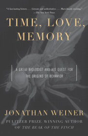 Time, Love , Memory 