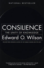 Consilience 