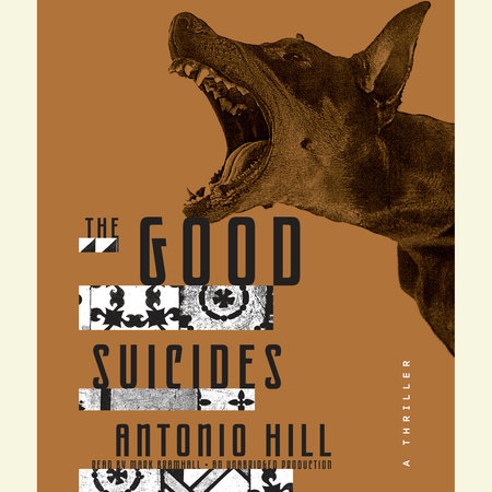 The Good Suicides by Antonio Hill