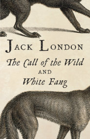white fang jack london summary