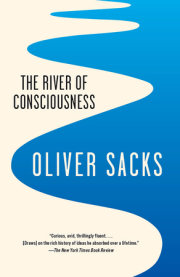 The River of Consciousness 