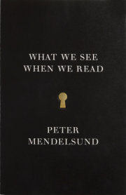 What We See When We Read 