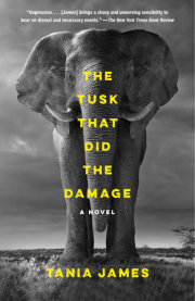 The Tusk That Did the Damage 