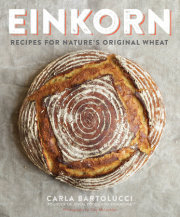 Einkorn 