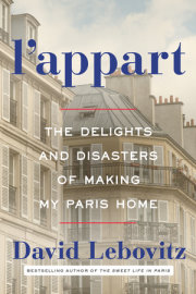 L’Appart: The Delights and Disasters of Making My Paris Home