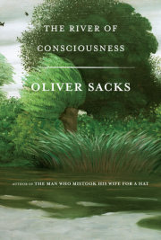 The River of Consciousness