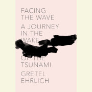Facing the Wave 