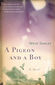 A Pigeon and a Boy 