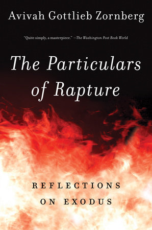 The Particulars of Rapture