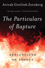 The Particulars of Rapture 