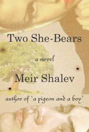 Two She-Bears 