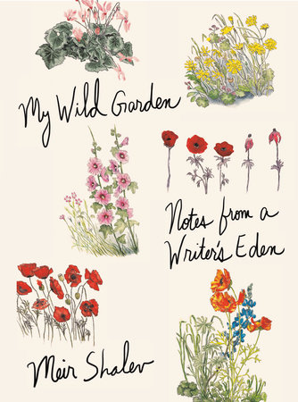 My Wild Garden By Meir Shalev 9780805243512 Penguinrandomhouse