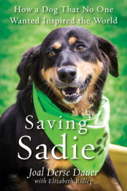 Saving Sadie 