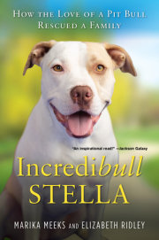 Incredibull Stella 