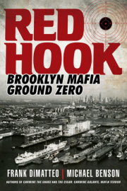 Red Hook 