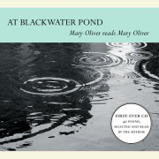 At Blackwater Pond 