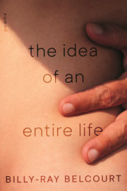 The Idea of an Entire Life 
