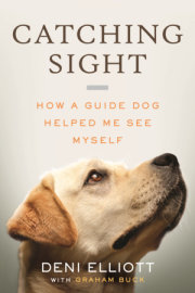 Catching Sight 